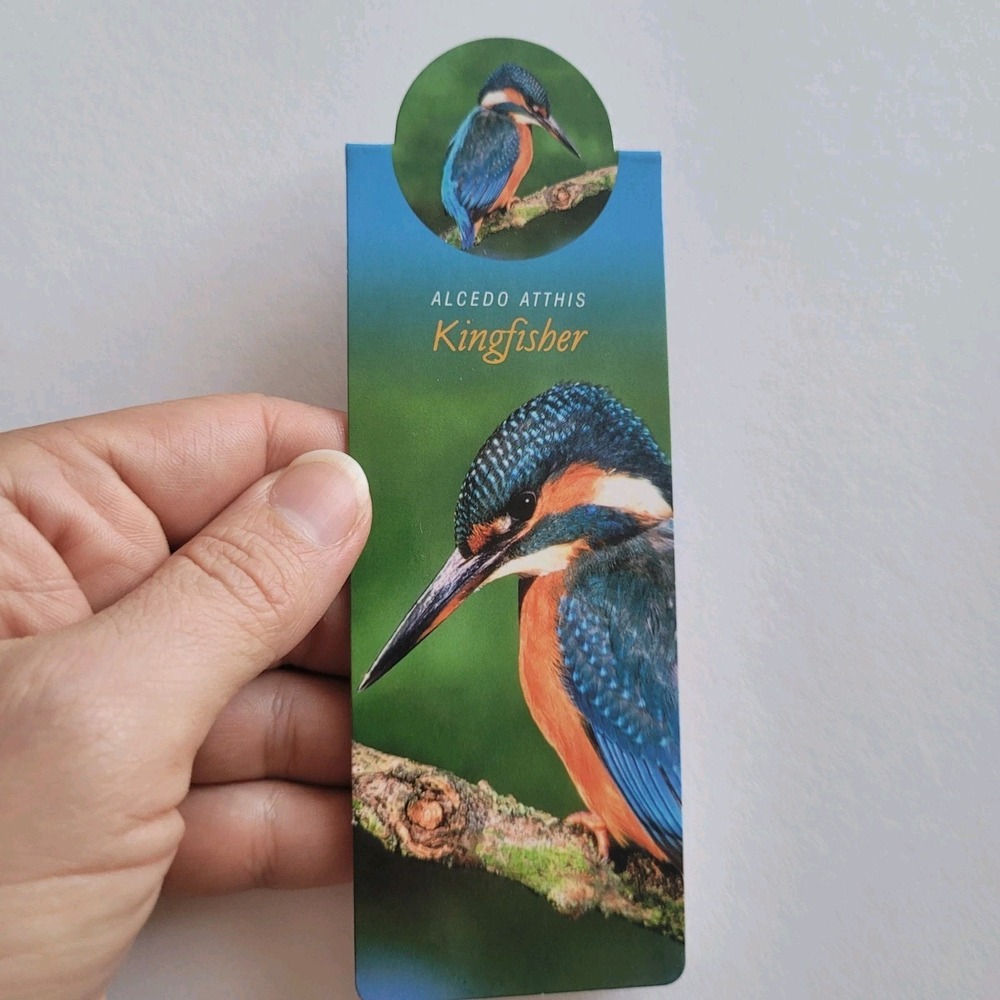 Cardmarks Kingfisher Bird Wild Nature Magnetic Magnet UK Company If 2402 Y2k 00s